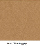 Assisted Living Aluminum Wood Activity Chair- Marion Chair