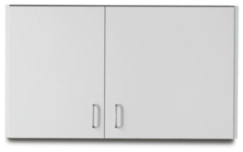 Exam Room Wall Cabinet 42"w x 24"h
